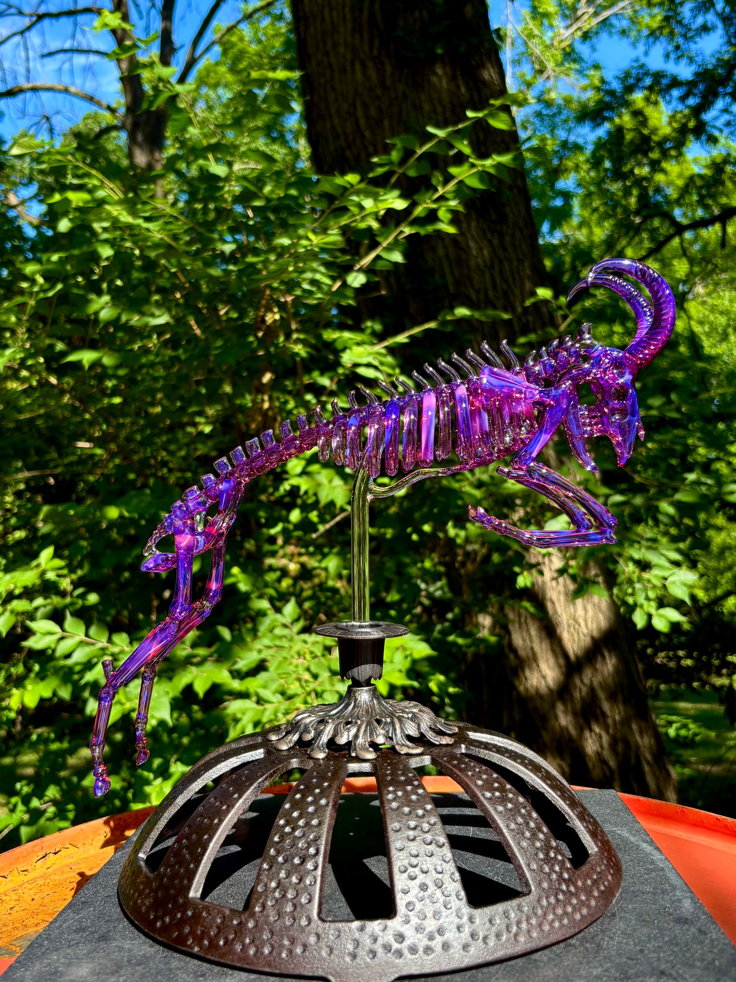 "The Leap"